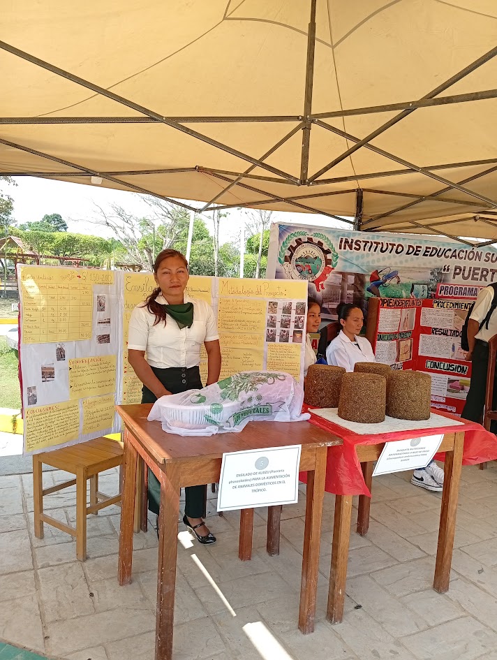 PROYECTO DE INNOVACION PRIMER PUESTO