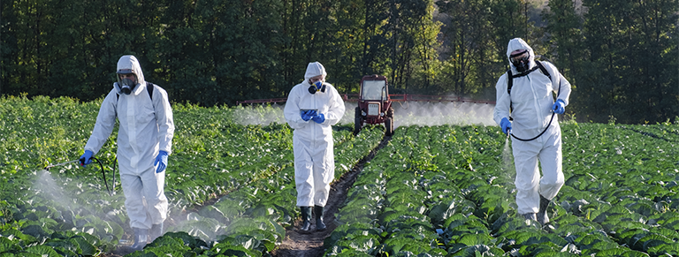 Prevención y Manejo Sanitario y Fito Sanitario